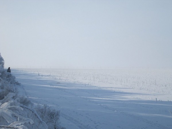 Тропой "молодого" охотника Тропой "молодого" охотника