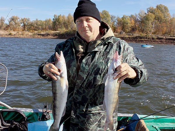 Енотаевский десант Енотаевский десант