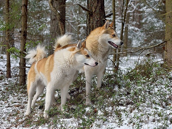Хорошие новости Хорошие новости