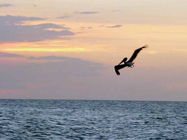Карибский круиз: на катере вдали от дома Карибский круиз: на катере вдали от дома