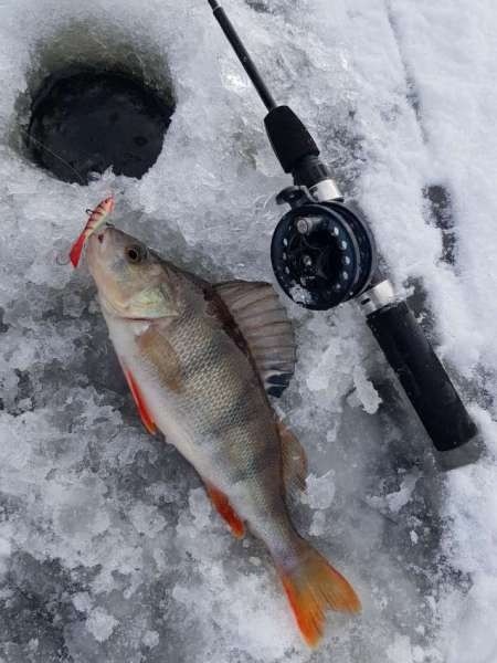 Лунное затмение и клёв рыбы. Есть ли связь? Лунное затмение и клёв рыбы. Есть ли связь?