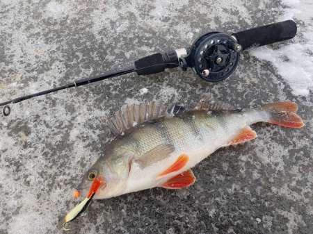 Лунное затмение и клёв рыбы. Есть ли связь? Лунное затмение и клёв рыбы. Есть ли связь?