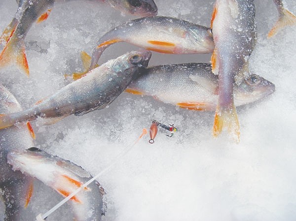 На карьерах и затонах