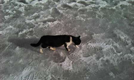 Первый лёд в феврале Первый лёд в феврале