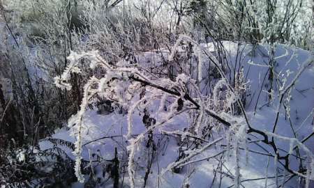 Первый лёд в феврале Первый лёд в феврале