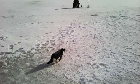 Первый лёд в феврале Первый лёд в феврале