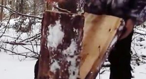 Петли на зайца