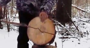 Петли на зайца