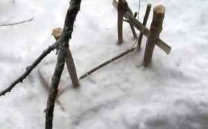 Петли на зайца