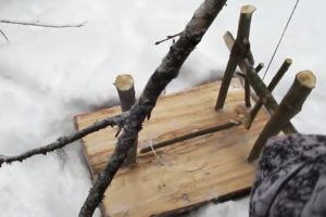 Петли на зайца