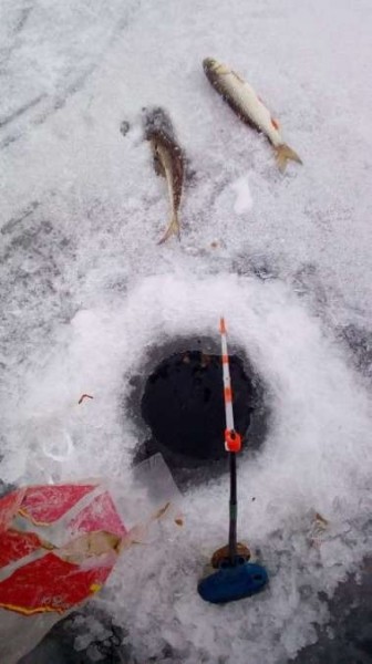 По второму первому льду По второму первому льду