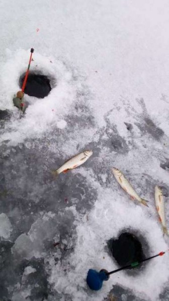 По второму первому льду По второму первому льду