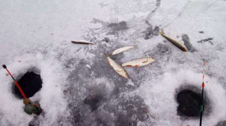 По второму первому льду По второму первому льду