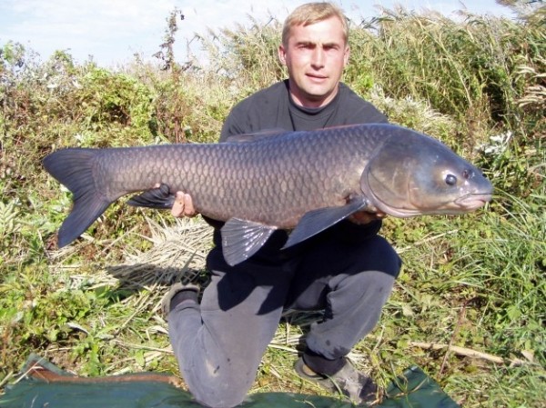 Редкие виды рыб, лов которых запрещен Редкие виды рыб, лов которых запрещен