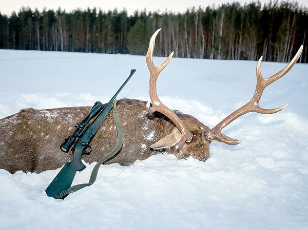 Реллоадинг или релоад Реллоадинг или релоад