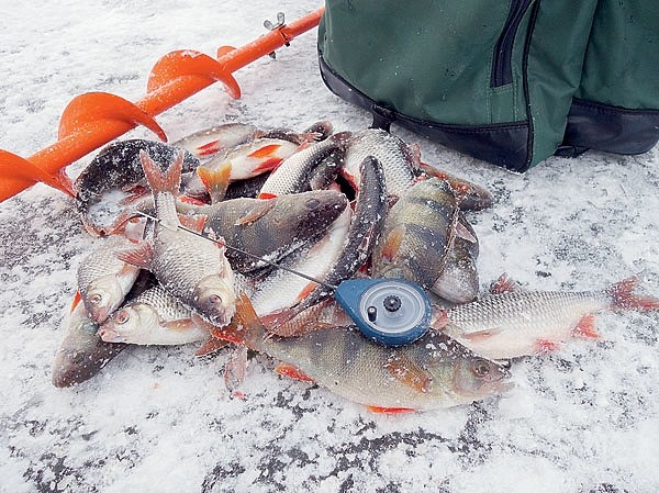 С мормышкой по разливу С мормышкой по разливу