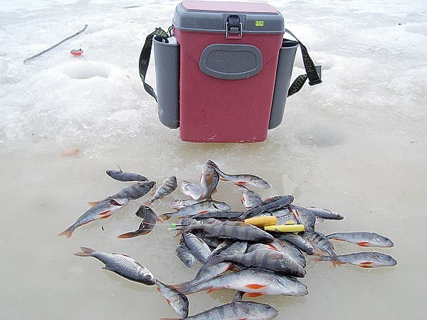 С мормышкой по разливу С мормышкой по разливу