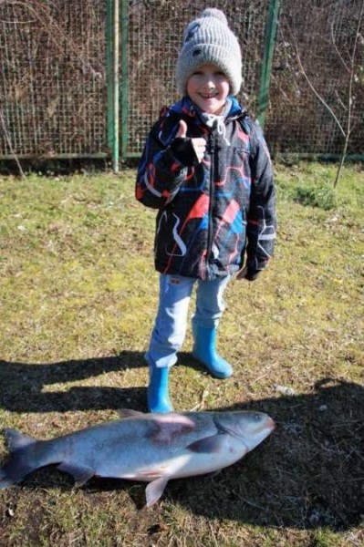 Толстолобик на ультралайт Толстолобик на ультралайт