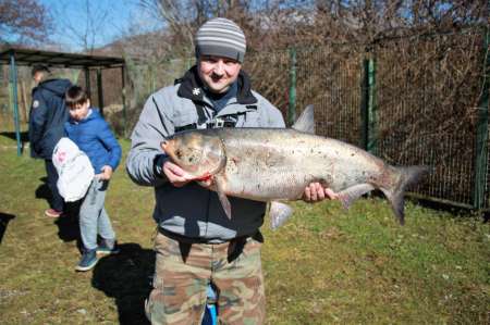 Толстолобик на ультралайт Толстолобик на ультралайт