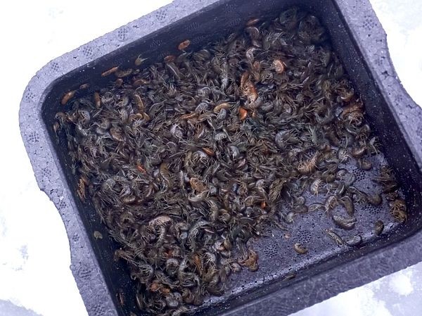 Универсальный солдат Универсальный солдат