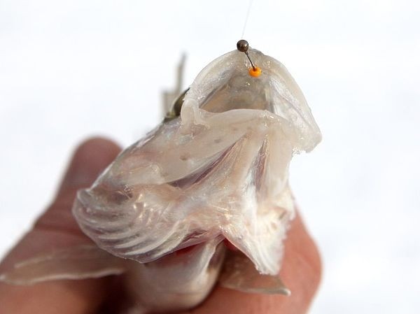 Универсальный солдат Универсальный солдат