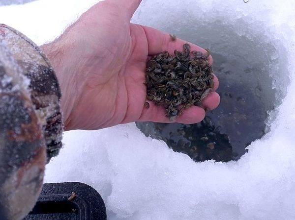 Универсальный солдат Универсальный солдат