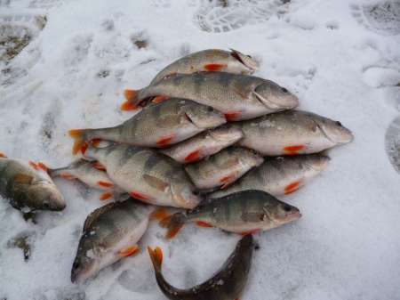 Весна идет, весне дорогу! Весна идет, весне дорогу!