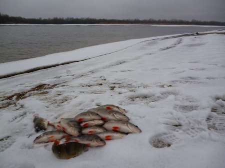 Весна идет, весне дорогу! Весна идет, весне дорогу!