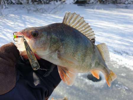 Второледье Второледье