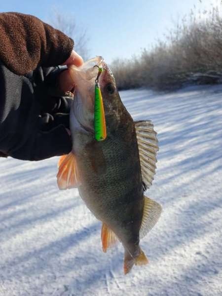 Второледье Второледье