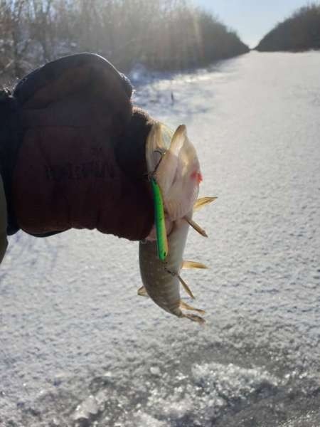 Второледье Второледье