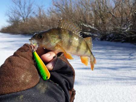 Второледье Второледье