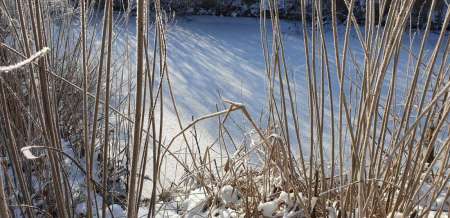 Второледье Второледье