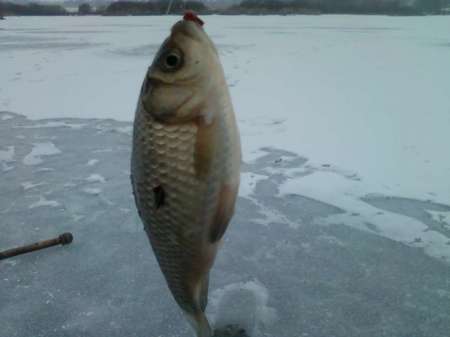 За карасём в снегопад