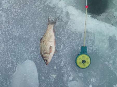 За карасём в снегопад