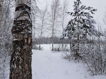 Зимний ротан. Интересная рыбалка. Зимний ротан. Интересная рыбалка.