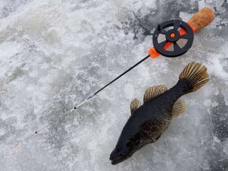 Зимний ротан. Интересная рыбалка. Зимний ротан. Интересная рыбалка.