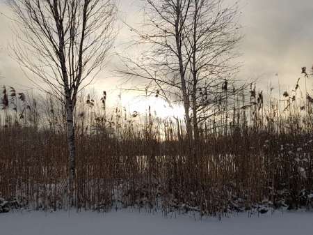 Зимний ротан. Интересная рыбалка. Зимний ротан. Интересная рыбалка.