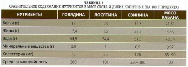 ДИКОЕ МЯСО ДИКОЕ МЯСО