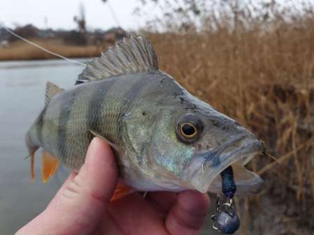 Дождь. Ловить или не ловить... Дождь. Ловить или не ловить...