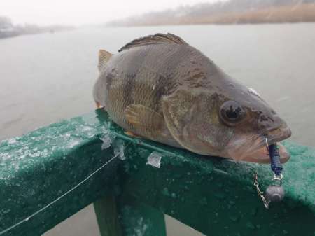 Дождь. Ловить или не ловить... Дождь. Ловить или не ловить...