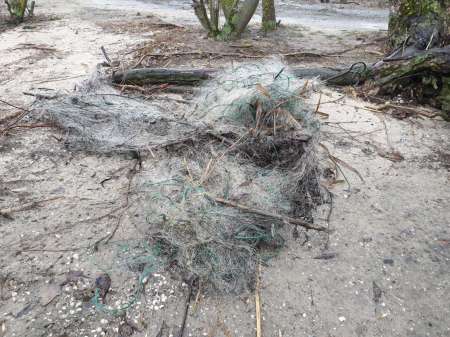 Дождь. Ловить или не ловить... Дождь. Ловить или не ловить...