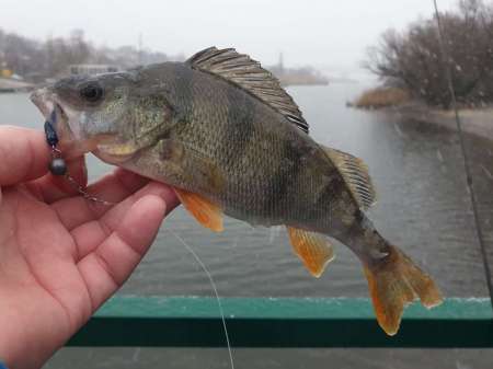 Дождь. Ловить или не ловить... Дождь. Ловить или не ловить...