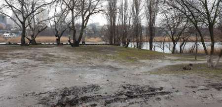 Дождь. Ловить или не ловить... Дождь. Ловить или не ловить...