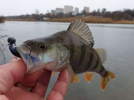 Дождь. Ловить или не ловить... Дождь. Ловить или не ловить...