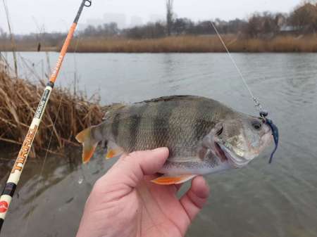 Дождь. Ловить или не ловить... Дождь. Ловить или не ловить...