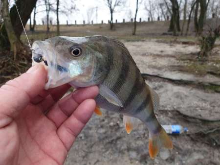 Дождь. Ловить или не ловить... Дождь. Ловить или не ловить...