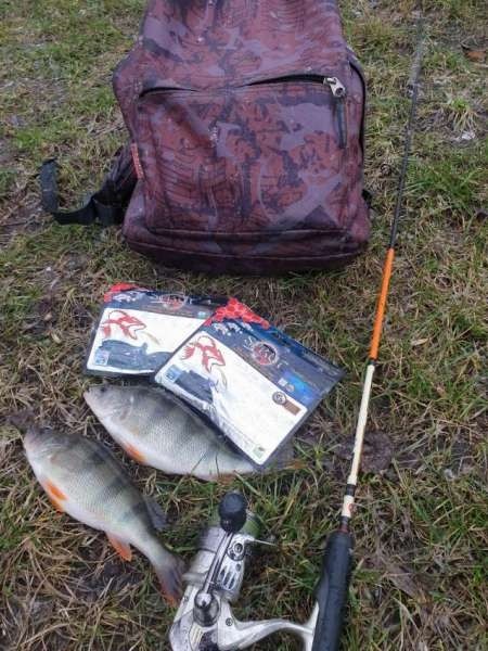 Дождь. Ловить или не ловить... Дождь. Ловить или не ловить...