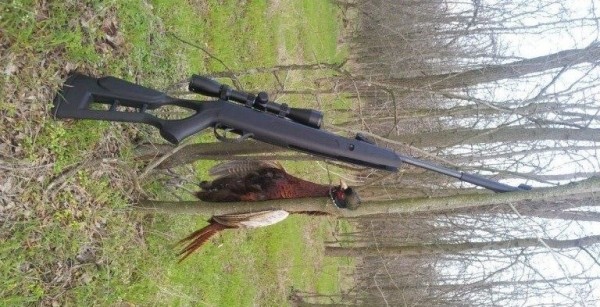 Хатсан страйкер эйдж