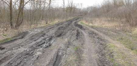 Хмуро и серо, но на рыбалку все равно Хмуро и серо, но на рыбалку все равно